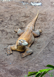 Similar image 949130