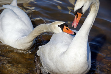 Similar image 949132