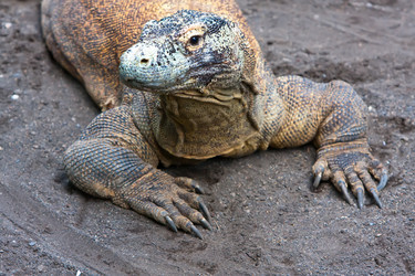 Similar image 949133