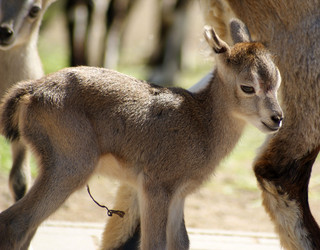 Similar image 949179