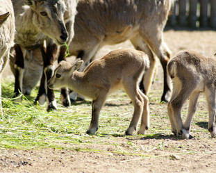 Similar image 949184