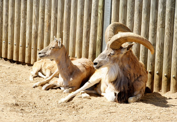 Similar image 949190