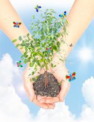 Similar image 949254