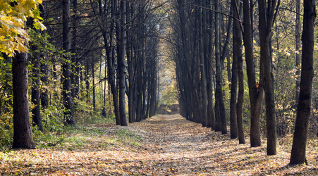 Similar image 949322