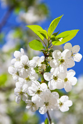 Similar image 949372