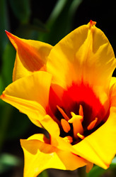 Similar image 949374