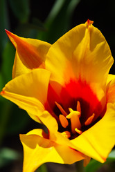 Similar image 949375