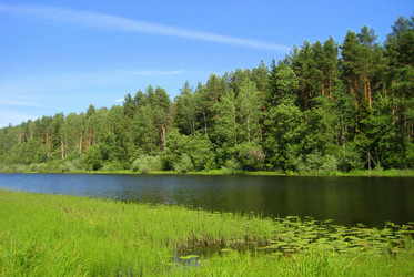 Similar image 949391