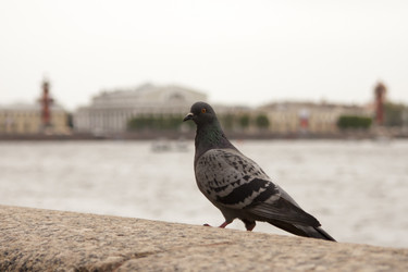 Similar image 949430