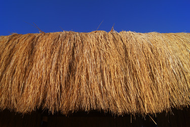 Similar image 949450