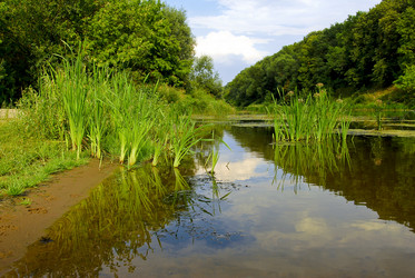 Similar image 949463