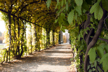 Similar image 949482