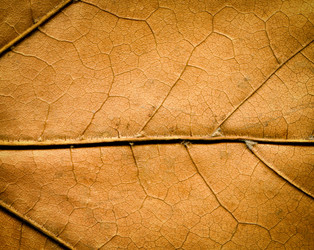 Similar image 949495