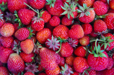 Similar image 949505