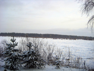 Similar image 949701