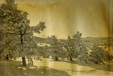 Similar image 949794