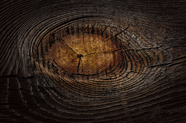 Similar image 949814