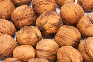 Similar image 949835