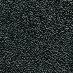 Similar image 949870