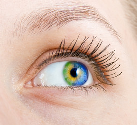 Similar image 949984