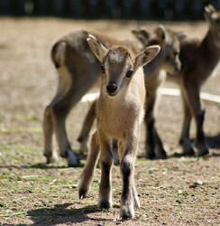 Similar image 950213