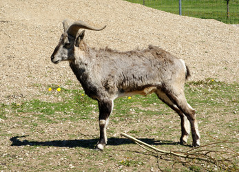 Similar image 950218