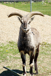 Similar image 950221