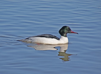 Similar image 950226