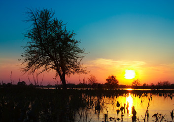 Similar image 950230