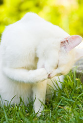 Similar image 950245