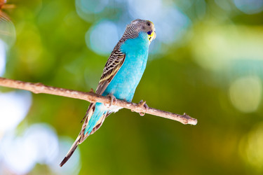 Similar image 950281