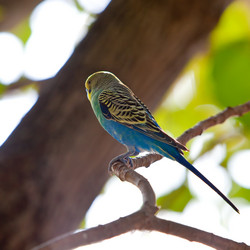 Similar image 950284