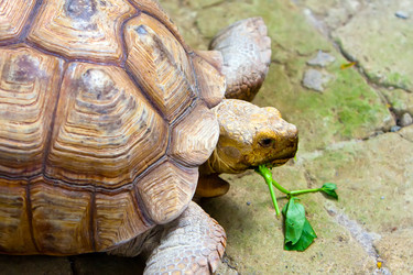 Similar image 950295