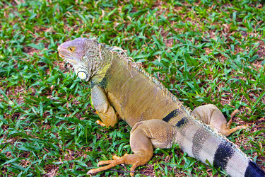 Similar image 950313