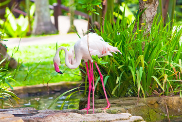 Similar image 950332