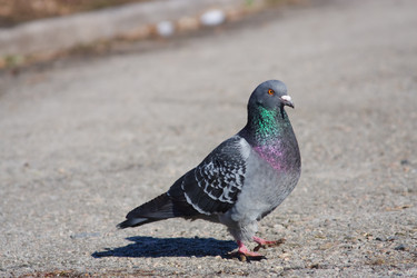 Similar image 950341