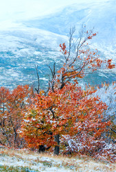 Similar image 950359