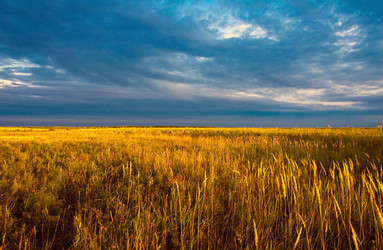 Similar image 950397