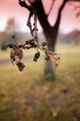 Similar image 950423