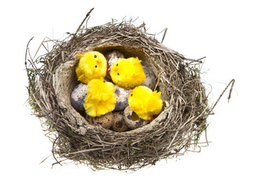 Similar image 950425