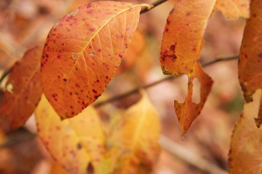 Similar image 950429