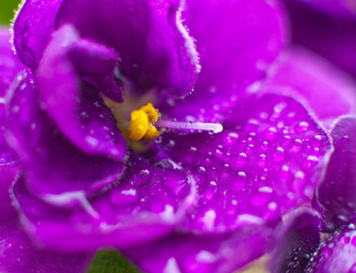 Similar image 950433