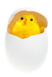 Similar image 950439