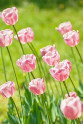 Similar image 950457