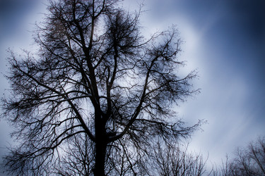 Similar image 950477