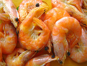 Similar image 950488