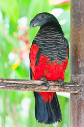 Similar image 950495