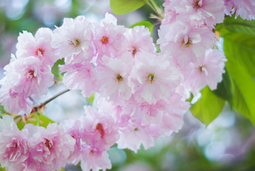 Similar image 950508