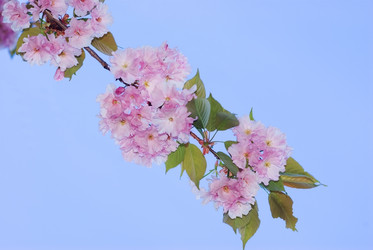 Similar image 950511