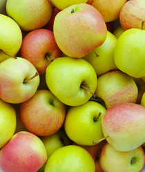 Similar image 950548